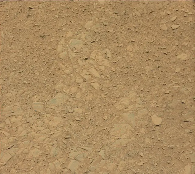 Sol 342: Mast Camera (Mastcam)