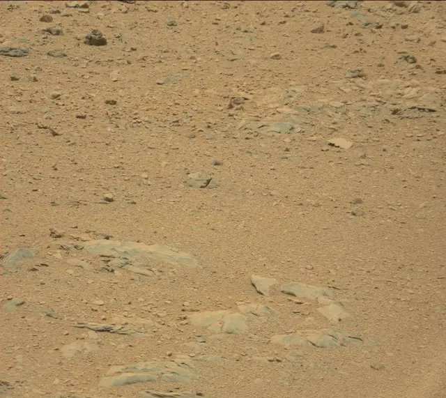 Sol 342: Mast Camera (Mastcam)