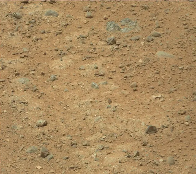 Sol 343: Mast Camera (Mastcam)
