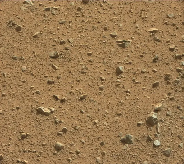 Sol 344: Mast Camera (Mastcam)