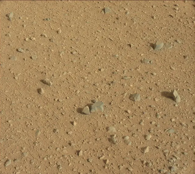 Sol 345: Mast Camera (Mastcam)