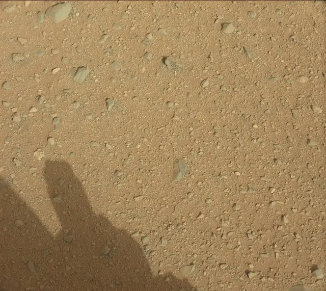 Sol 345: Mast Camera (Mastcam)