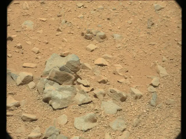 Sol 346: Mast Camera (Mastcam)