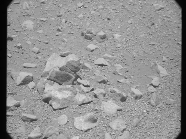 Sol 346: Mast Camera (Mastcam)
