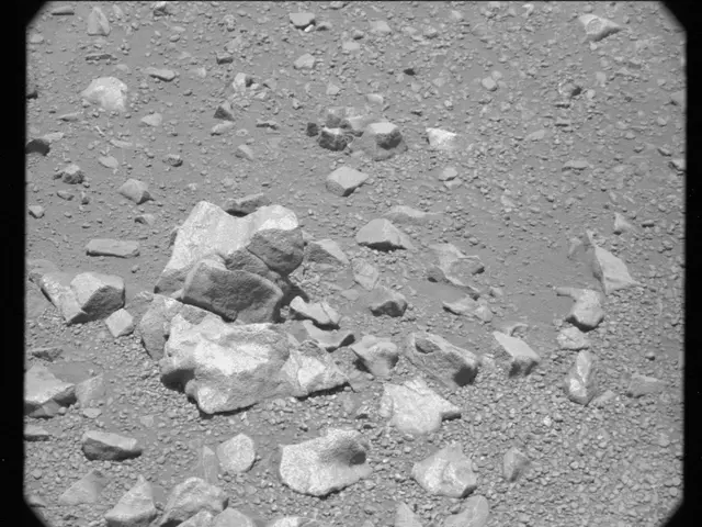 Sol 346: Mast Camera (Mastcam)