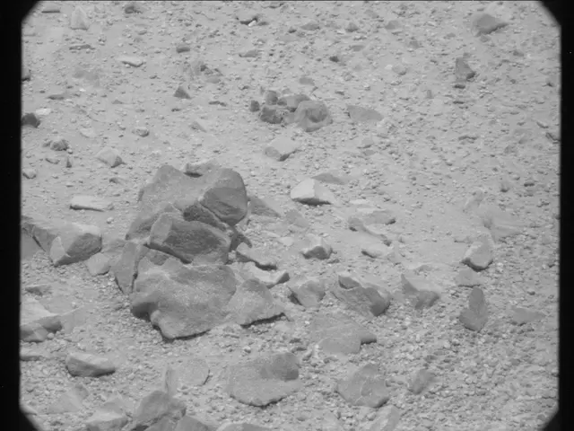 Sol 346: Mast Camera (Mastcam)