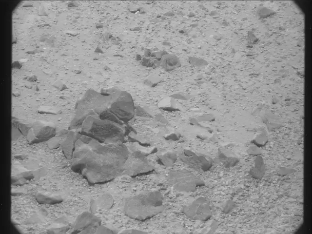 Sol 346: Mast Camera (Mastcam)