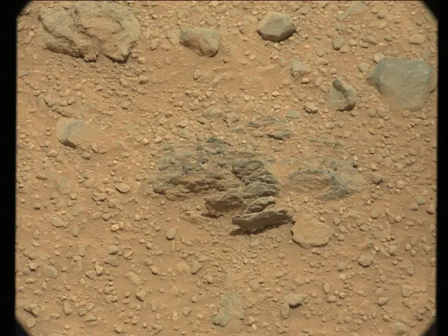 Sol 346: Mast Camera (Mastcam)