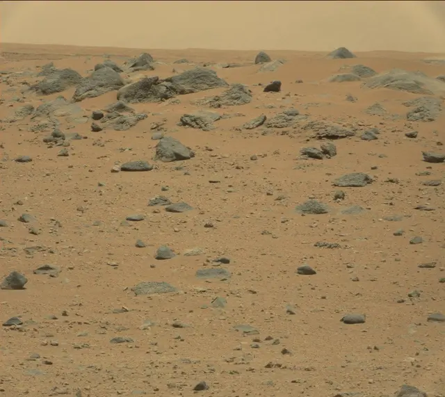 Sol 346: Mast Camera (Mastcam)