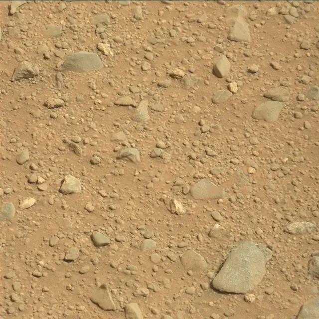Sol 348: Mast Camera (Mastcam)