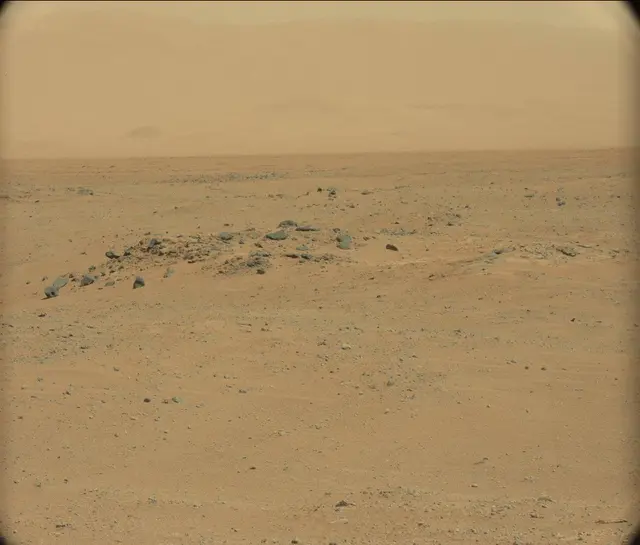 Sol 351: Mast Camera (Mastcam)