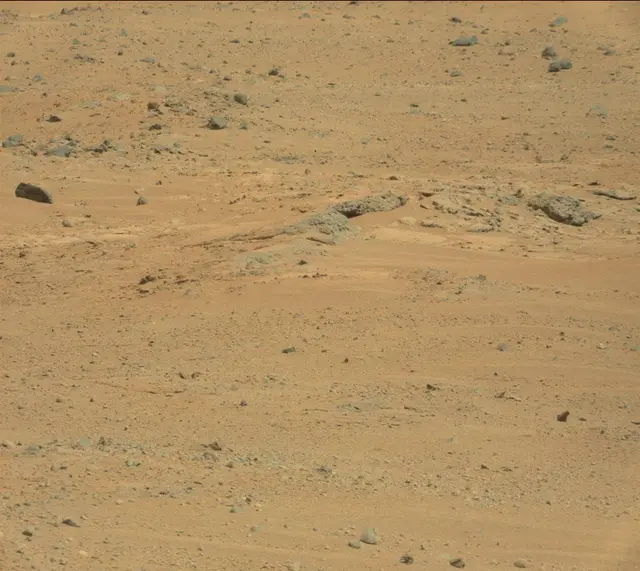 Sol 351: Mast Camera (Mastcam)