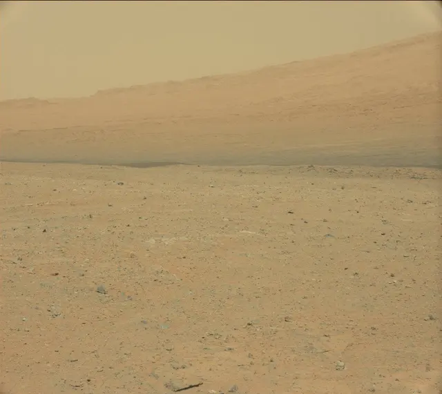 Sol 352: Mast Camera (Mastcam)