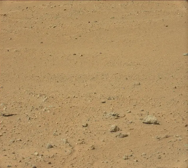 Sol 352: Mast Camera (Mastcam)