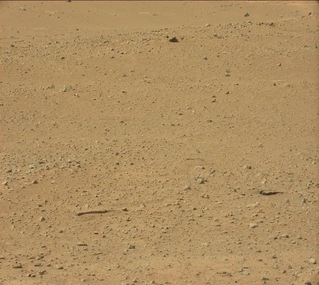 Sol 352: Mast Camera (Mastcam)