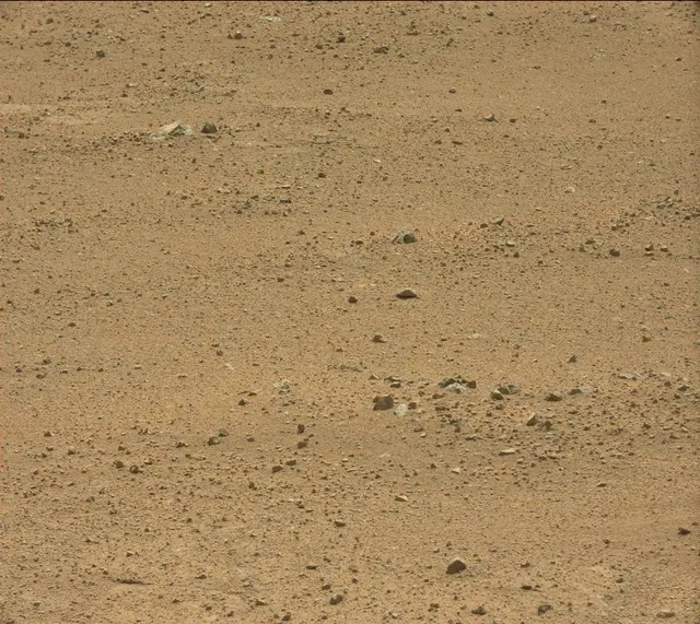 Sol 352: Mast Camera (Mastcam)