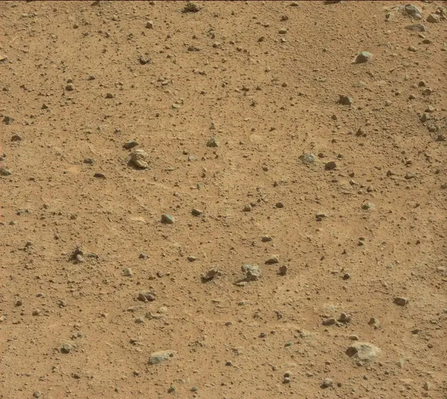 Sol 352: Mast Camera (Mastcam)