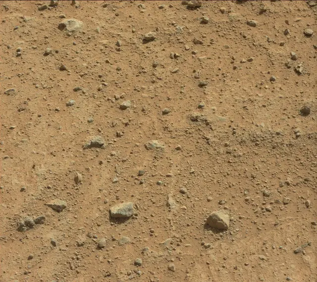 Sol 352: Mast Camera (Mastcam)