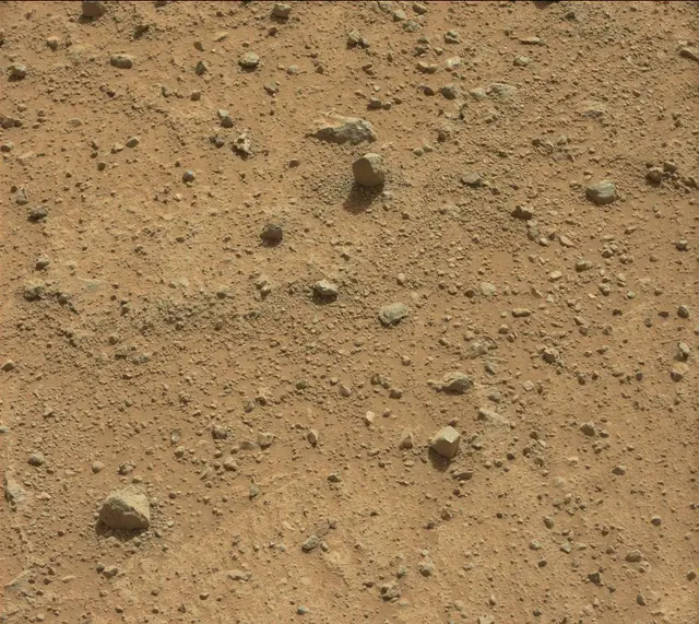 Sol 352: Mast Camera (Mastcam)