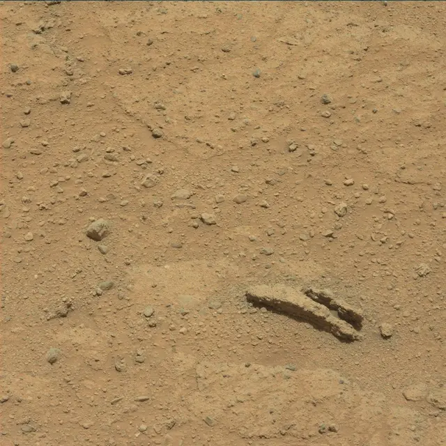 Sol 352: Mast Camera (Mastcam)
