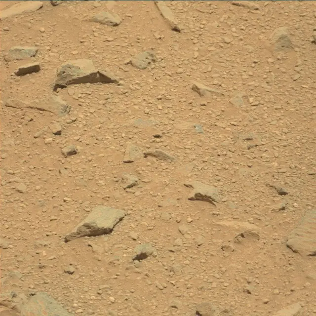 Sol 359: Mast Camera (Mastcam)
