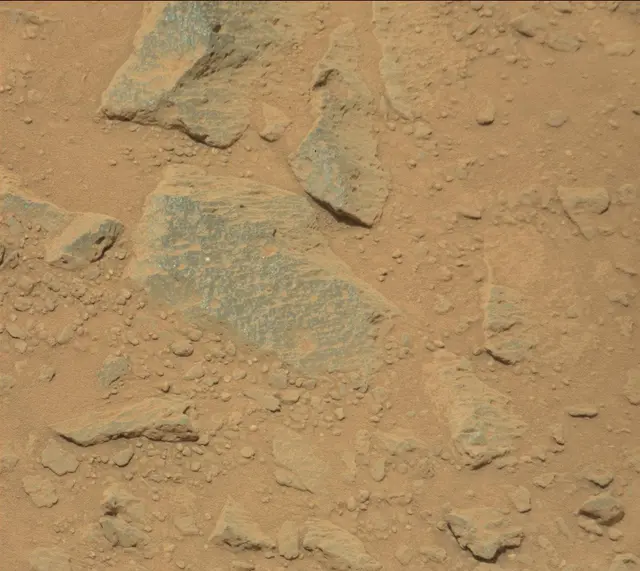 Sol 360: Mast Camera (Mastcam)