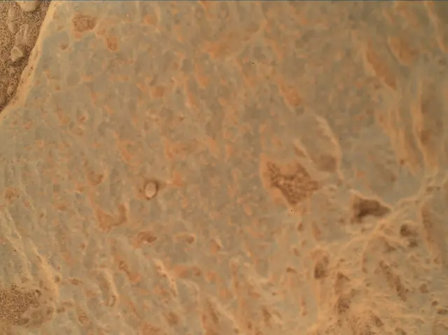 Sol 360: Mars Hand Lens Imager (MAHLI)