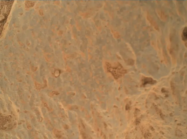 Sol 360: Mars Hand Lens Imager (MAHLI)