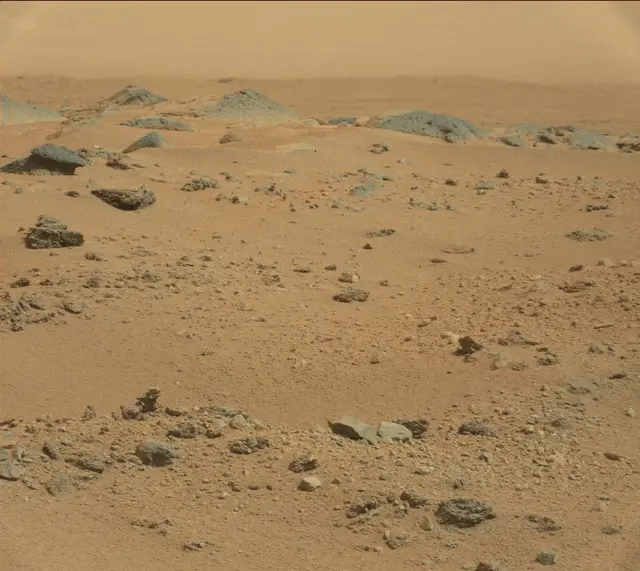 Sol 365: Mast Camera (Mastcam)
