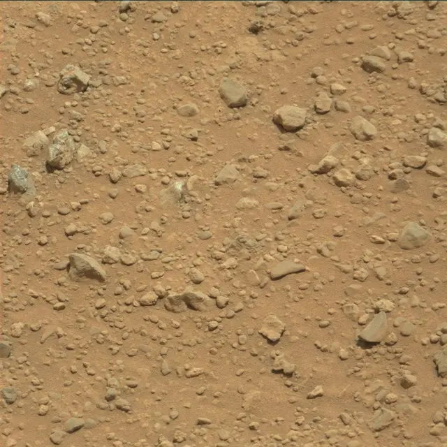 Sol 365: Mast Camera (Mastcam)