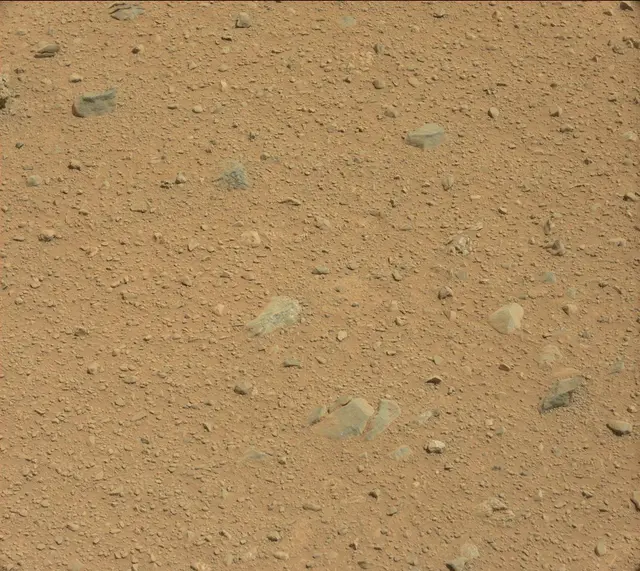 Sol 375: Mast Camera (Mastcam)