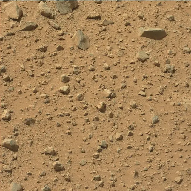 Sol 377: Mast Camera (Mastcam)