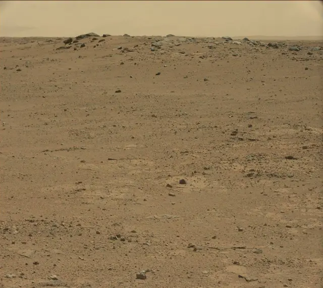 Sol 377: Mast Camera (Mastcam)