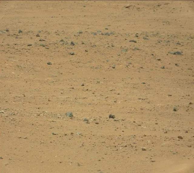 Sol 382: Mast Camera (Mastcam)