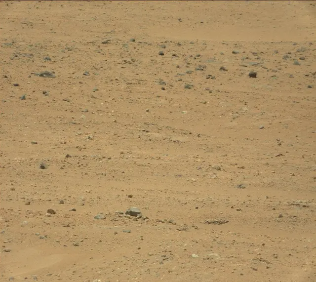Sol 382: Mast Camera (Mastcam)