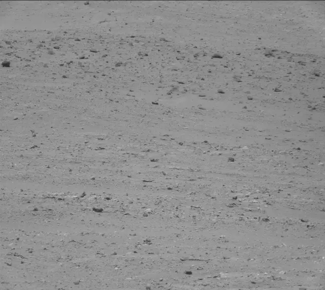 Sol 382: Mast Camera (Mastcam)