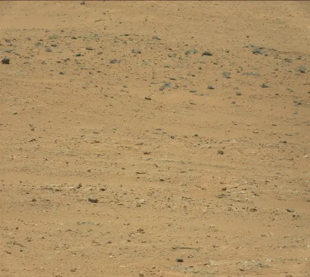 Sol 382: Mast Camera (Mastcam)