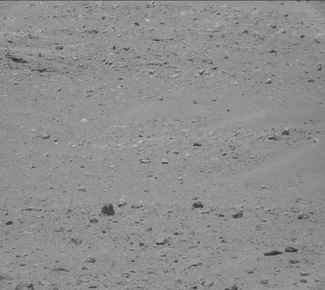 Sol 382: Mast Camera (Mastcam)