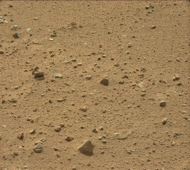 Sol 384: Mast Camera (Mastcam)