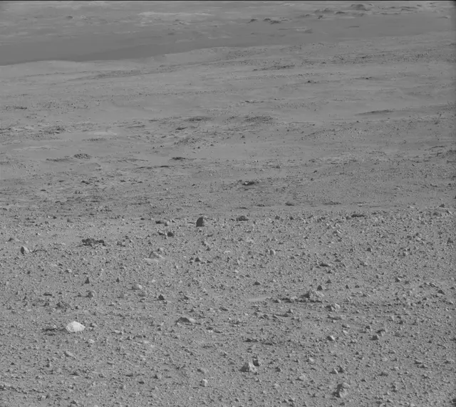 Sol 385: Mast Camera (Mastcam)