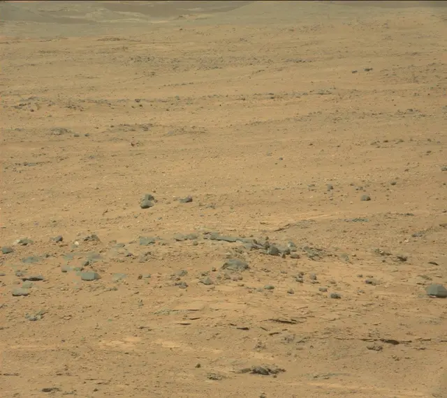 Sol 387: Mast Camera (Mastcam)