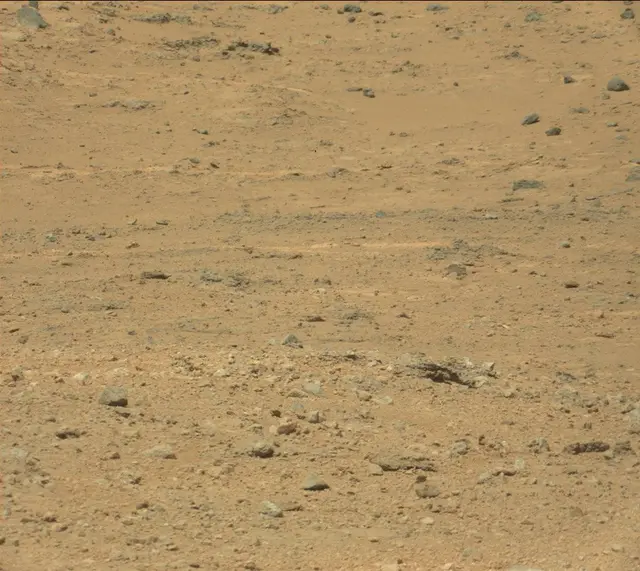 Sol 387: Mast Camera (Mastcam)