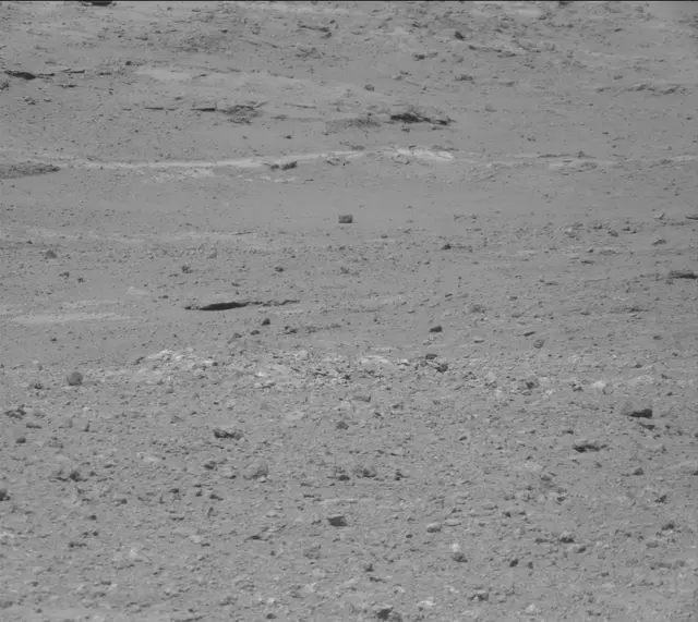Sol 387: Mast Camera (Mastcam)