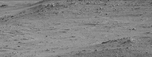 Sol 388: Mast Camera (Mastcam)