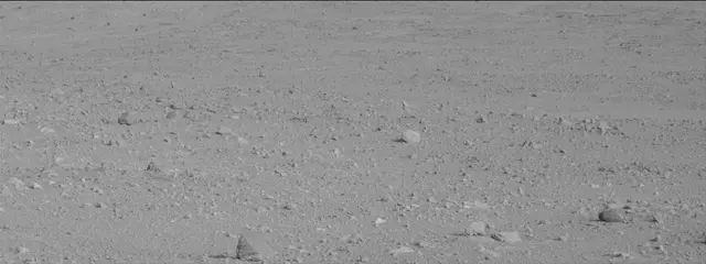 Sol 388: Mast Camera (Mastcam)