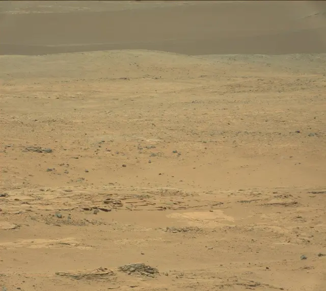 Sol 388: Mast Camera (Mastcam)