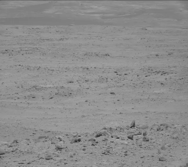 Sol 388: Mast Camera (Mastcam)