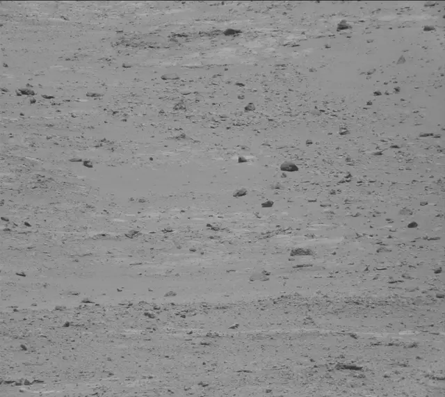 Sol 388: Mast Camera (Mastcam)