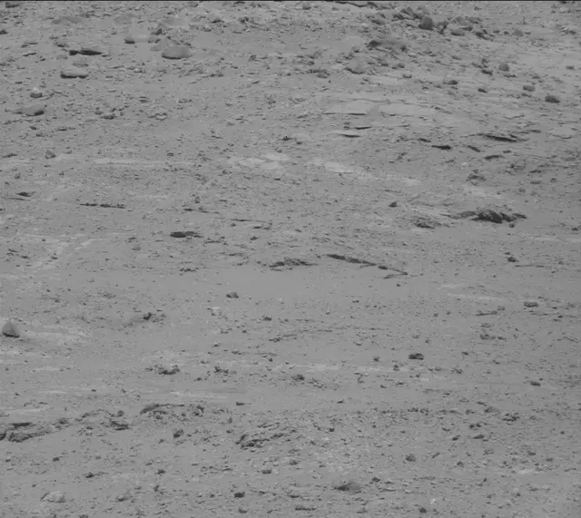 Sol 388: Mast Camera (Mastcam)