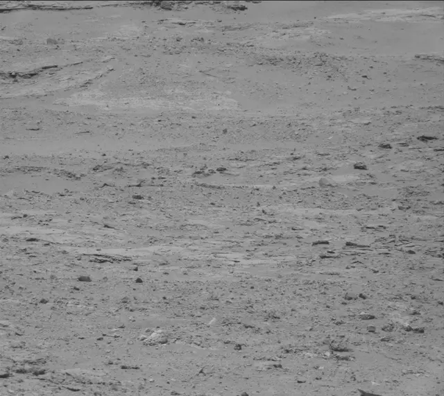 Sol 388: Mast Camera (Mastcam)